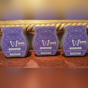 Scentsy Wax Melts (3)